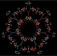 Prismatic Floral Frame 9