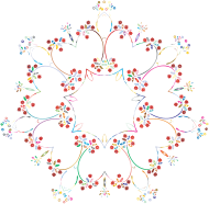 Prismatic Floral Frame 9 No Background