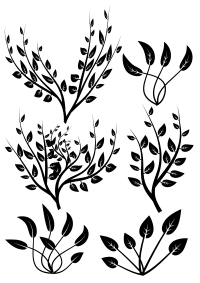 Branch set 1