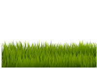 Grass 1