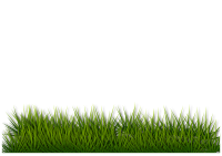 Grass 2
