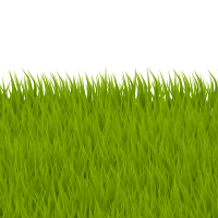 grass remix