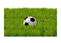 Soccer ball on grass