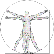 Prismatic Binary Vitruvian Man