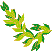 bay leaf