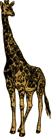 Beautiful Girafffy