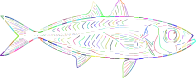 Prismatic Fish Line Art