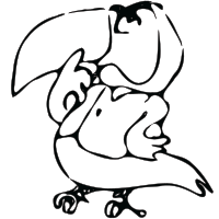 drawn toucan