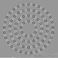 optical delusion from wesd440
