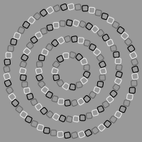 Optical Illusion