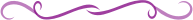 Purple Divider