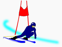 Slalom Skier
