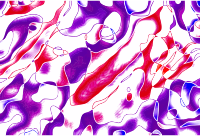 Colourful background 5 (colour 6)