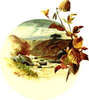 Mountain scene 2