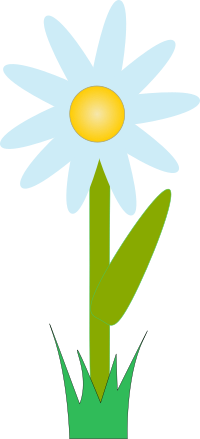 marguerite