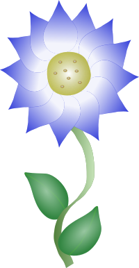 blue flower