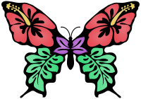 Butterfly Flower Colour