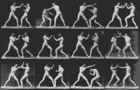 Men Boxing