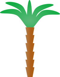 palm