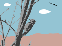 landscape with woodpecker