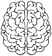 Abstract Brain Line Art