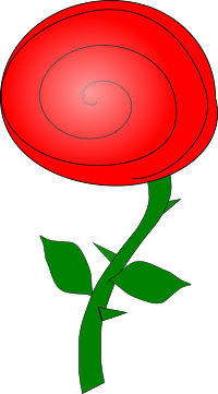 rose