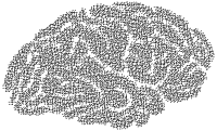 Molecular Brain