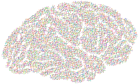Prismatic Molecular Brain