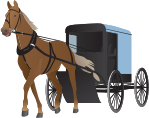 Amish Buggy and Horse