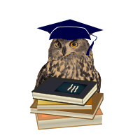 owl as wisdom symbol