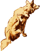 Dog 13