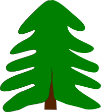 spruce