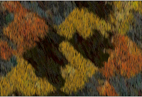Hairy background
