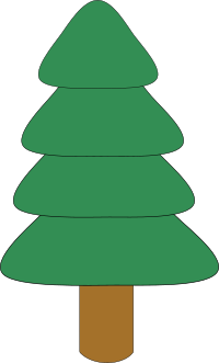 spruce1