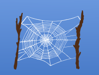 Colour Spider Web