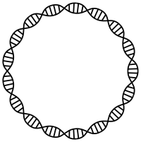 DNA Helix Frame