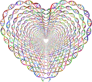 Chromatic DNA Helix Heart Tunnel No Background