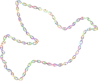 Chromatic DNA Helix Peace Dove