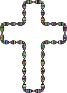 Chromatic DNA Helix Cross