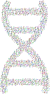 Prismatic Molecular DNA Helix