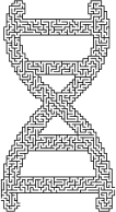 DNA Helix Maze