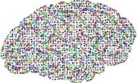 Prismatic Low Poly Wireframe Molecule Brain