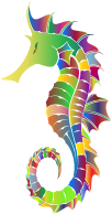 Prismatic Detailed Seahorse Silhouette