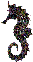 Prismatic Detailed Seahorse Wireframe