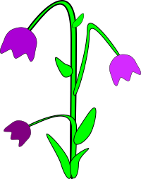 Bell-flower
