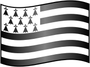 Icon Flag of Brittany