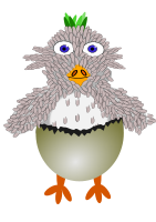 the chick