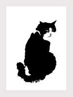 black cat