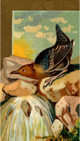 Cigarette card - Dipper