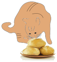 A cat smells bread.